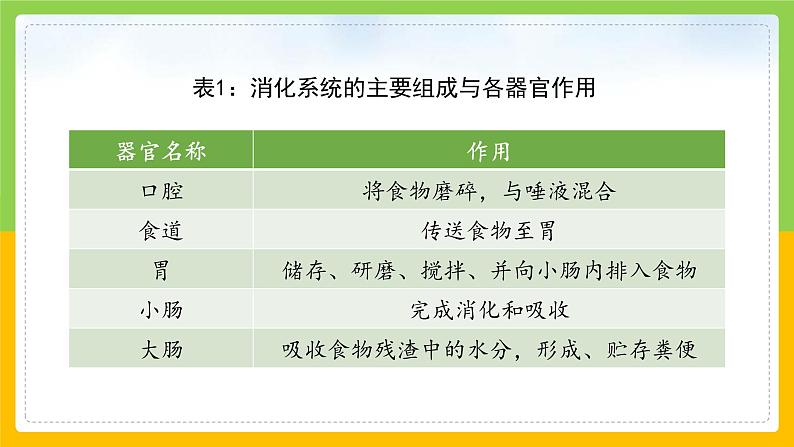 教科版 科学 四上 2.8《食物在身体里的旅行》课件第8页