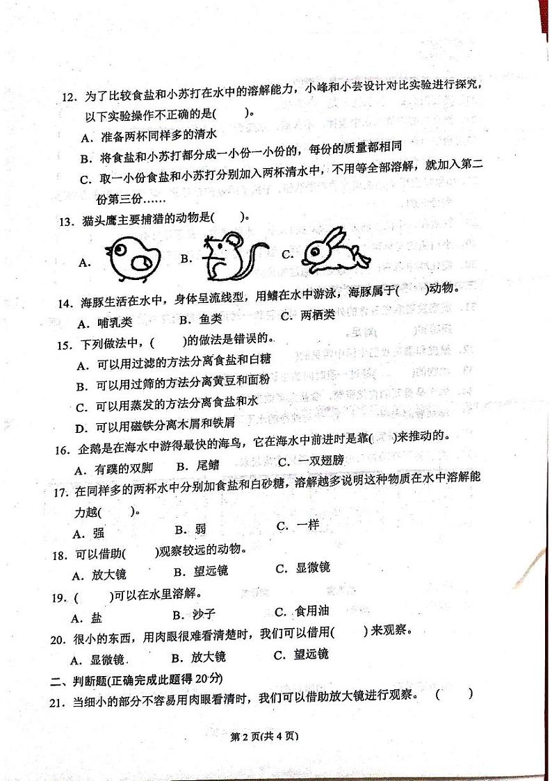 汕尾市陆丰市2024-2025学年三年级上学期期中科学试题第2页