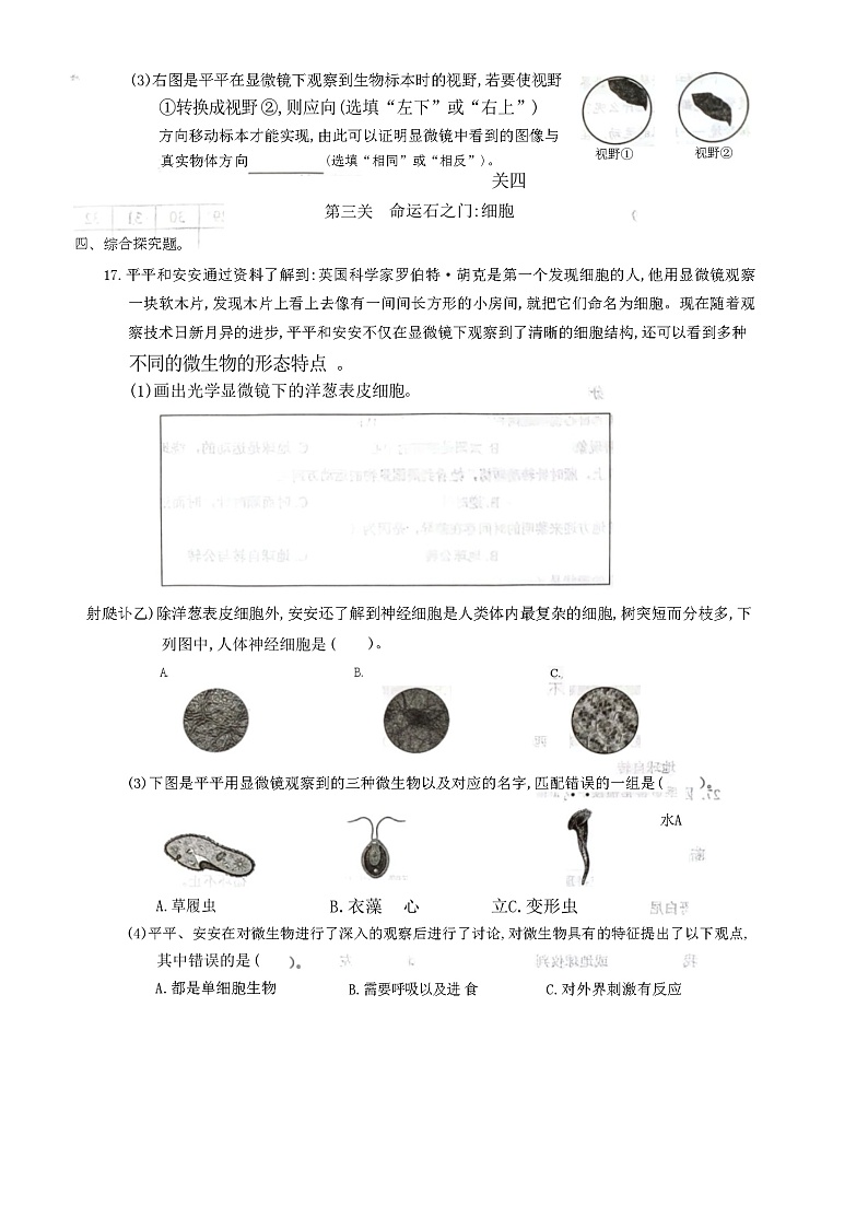 深圳市龙华区2024-2025学年六年级上学期期中科学试题03