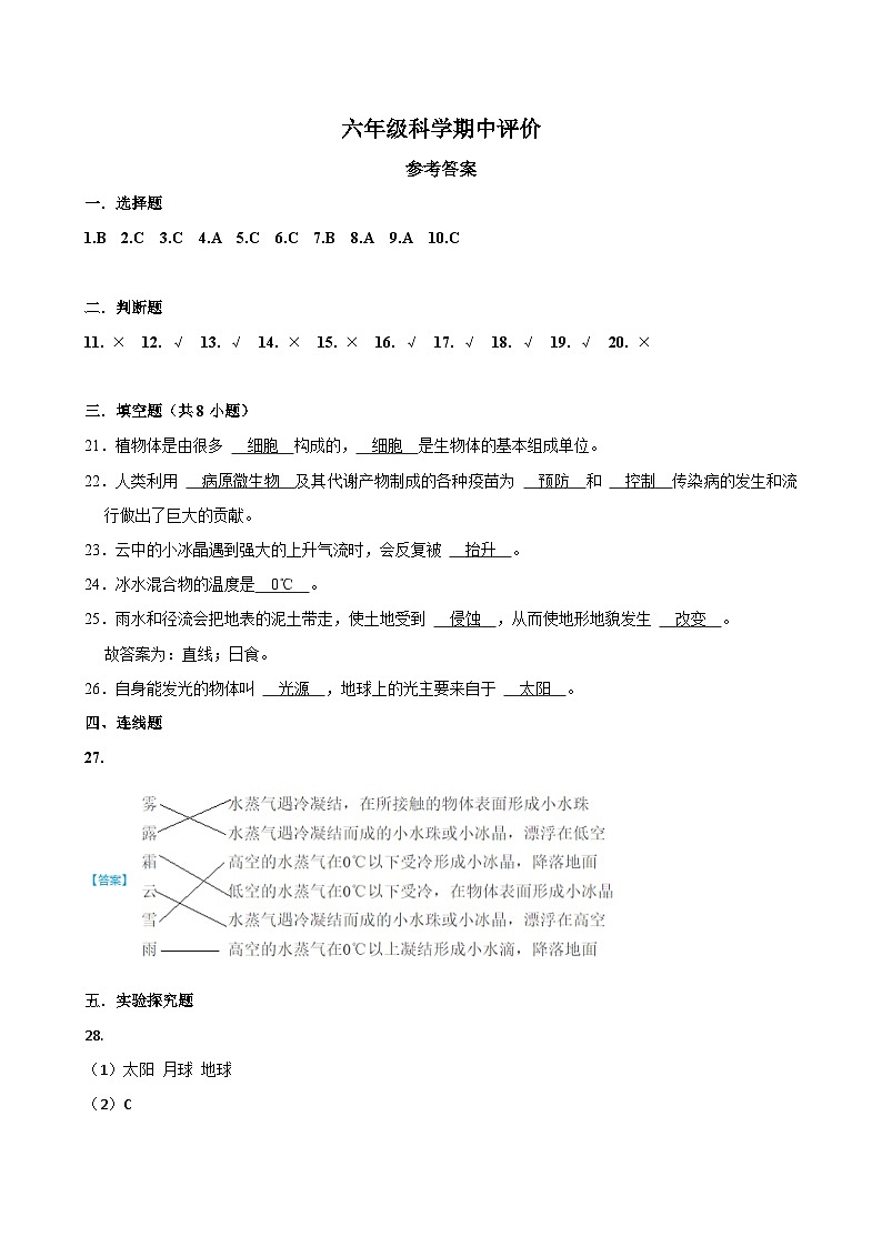 河南省郑州市金水区农科路小学教育集团2024-2025学年六年级上学期11月期中科学试题01