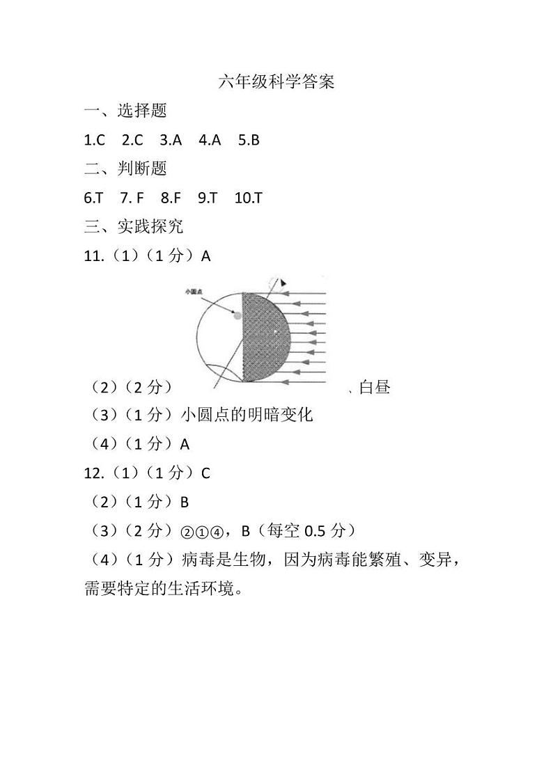 2024-2025上学期期中六年级科学答案第1页