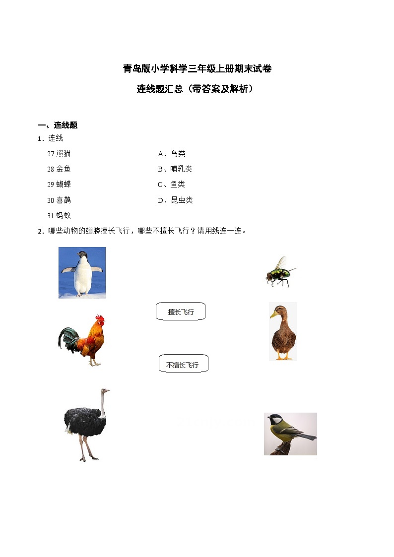 青岛版小学科学三年级上册期末试卷--连线题汇总第1页