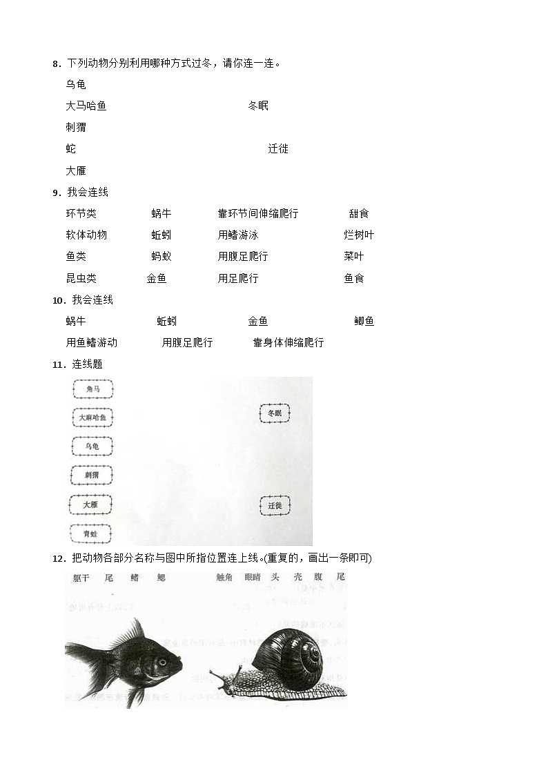 青岛版小学科学三年级上册期末试卷--连线题汇总第3页