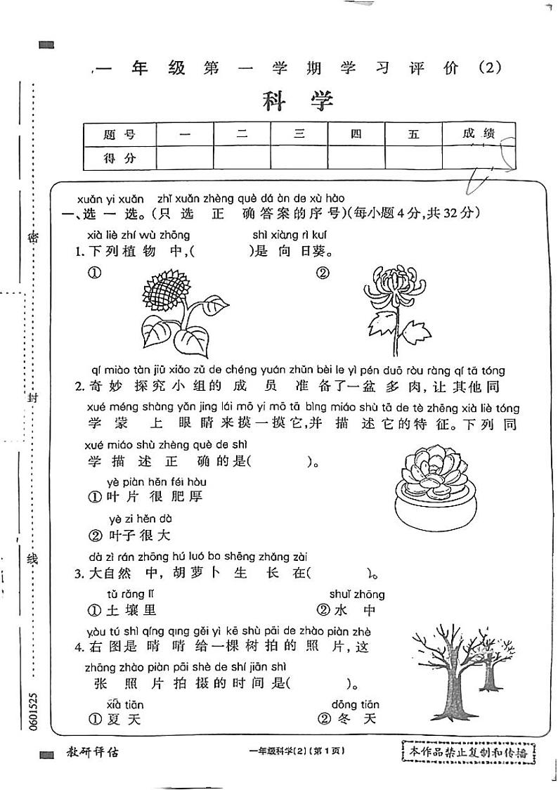 甘肃省嘉峪关市2024-2025学年一年级上学期11月期中科学试题第1页