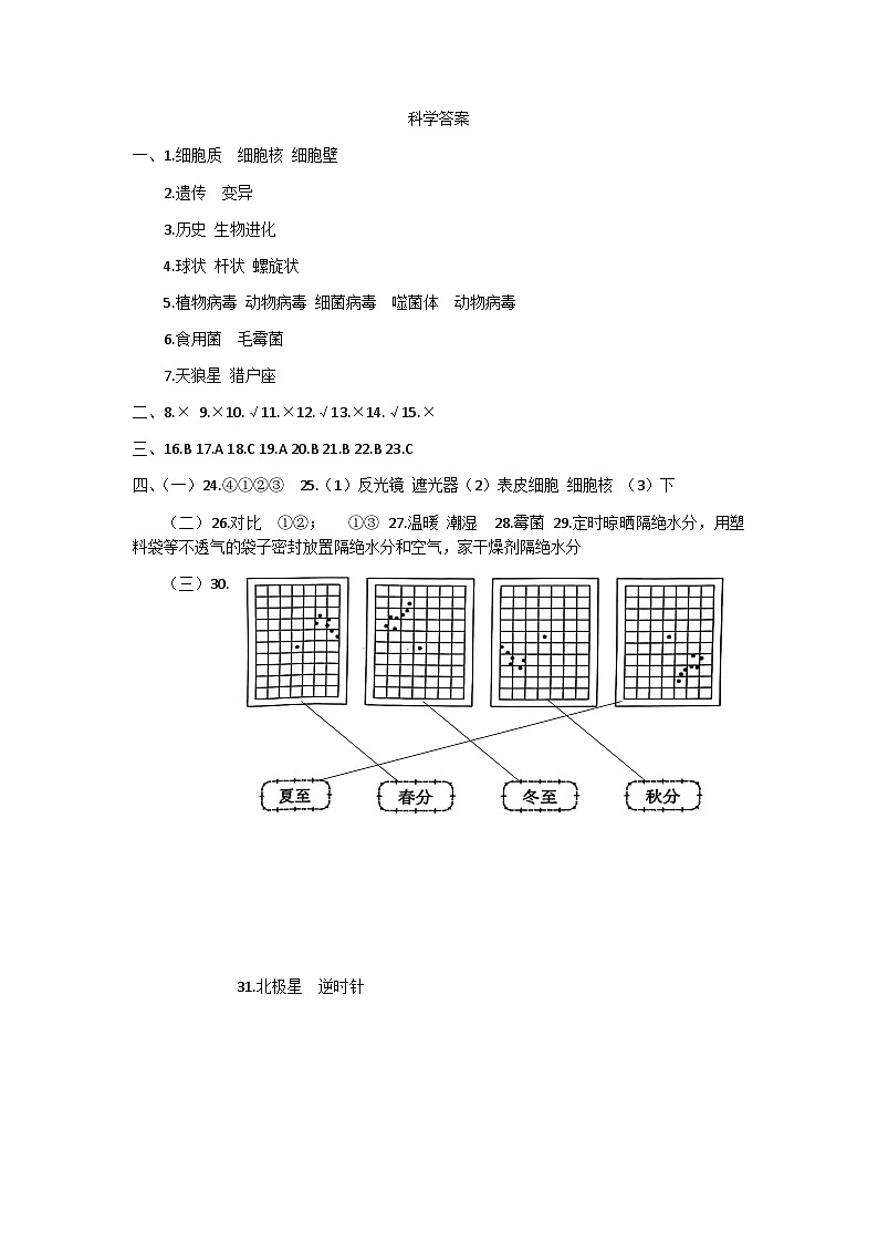 山东省德州市德州经济技术开发区德州市经济技术开发区长河小学、康博小学等2024-2025学年六年级上学期11月期中科学试题01