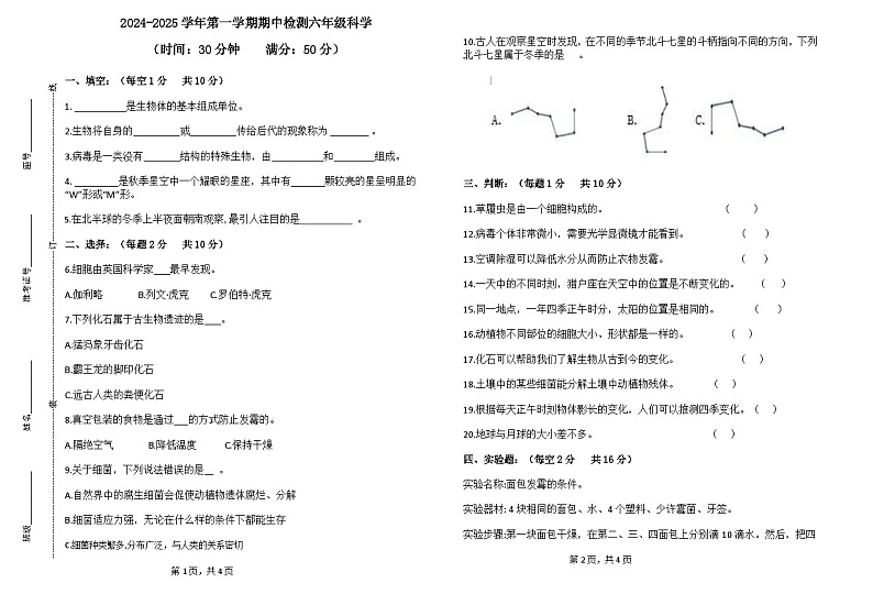 山东省德州市齐河县清华园学校2024-2025学年六年级上学期期中考试科学试题01