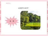 【大單元核心素養(yǎng)】教科版科學一年級上冊1.1《我們知道的植物》單元整體設計+課件+教案