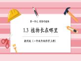 【大单元核心素养】教科版科学一年级上册1.3《植物长在哪里》单元整体设计+课件+教案+素材