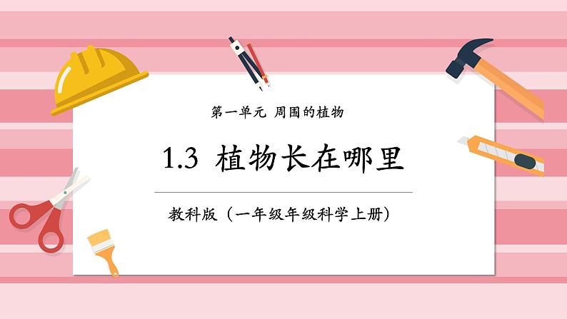 【大单元整体教学】1.3《植物长在哪里》课时课件第1页