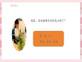 【大单元核心素养】教科版科学一年级上册1.3《植物长在哪里》单元整体设计+课件+教案+素材