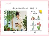 【大單元核心素養(yǎng)】教科版科學一年級上冊1.4《給植物畫張“像”》單元整體設計+課件+教案