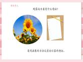 【大單元核心素養(yǎng)】教科版科學一年級上冊1.4《給植物畫張“像”》單元整體設計+課件+教案