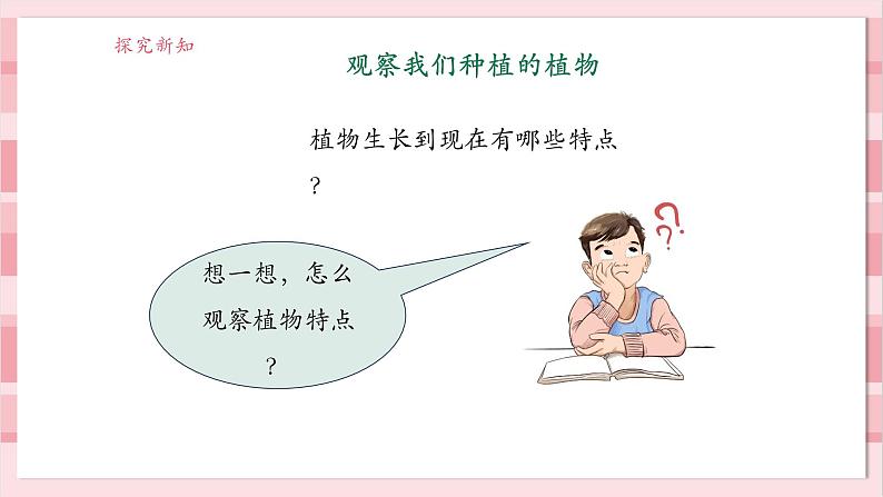 【大单元整体教学】1.5《植物的变化》课时课件第5页