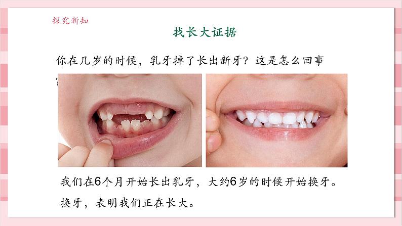 【大单元整体教学】2.2《发现生长》课时课件第7页