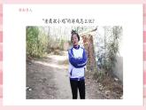 【大單元核心素養(yǎng)】教科版科學(xué)一年級(jí)上冊(cè)2.3《游戲中的觀察》單元整體設(shè)計(jì)+課件+教案+素材