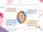 【大單元核心素養(yǎng)】教科版科學一年級上冊2.6《觀察與比較》單元整體設計+課件+教案