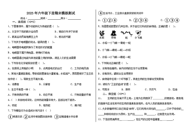期末模拟测试=2023-2024学年科学六年级下册教科版第1页