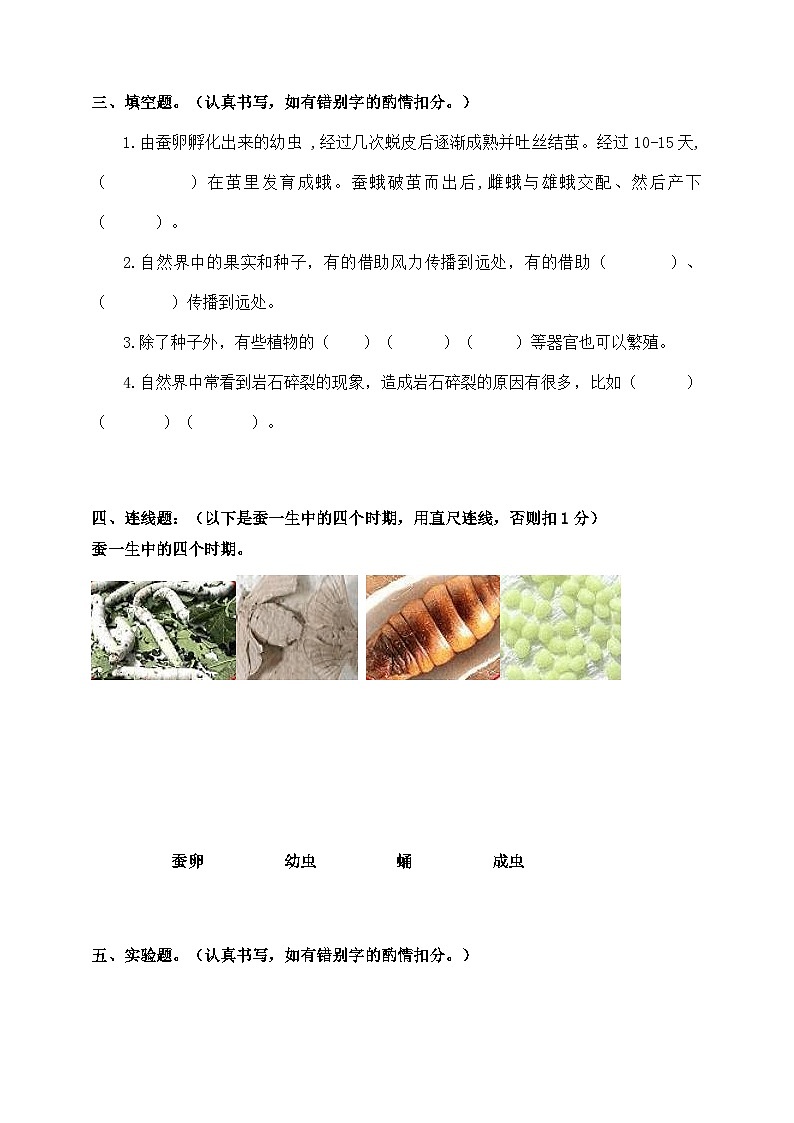 广东省汕尾市陆丰市河东镇2024-2025学年四年级上学期期中科学试题第3页