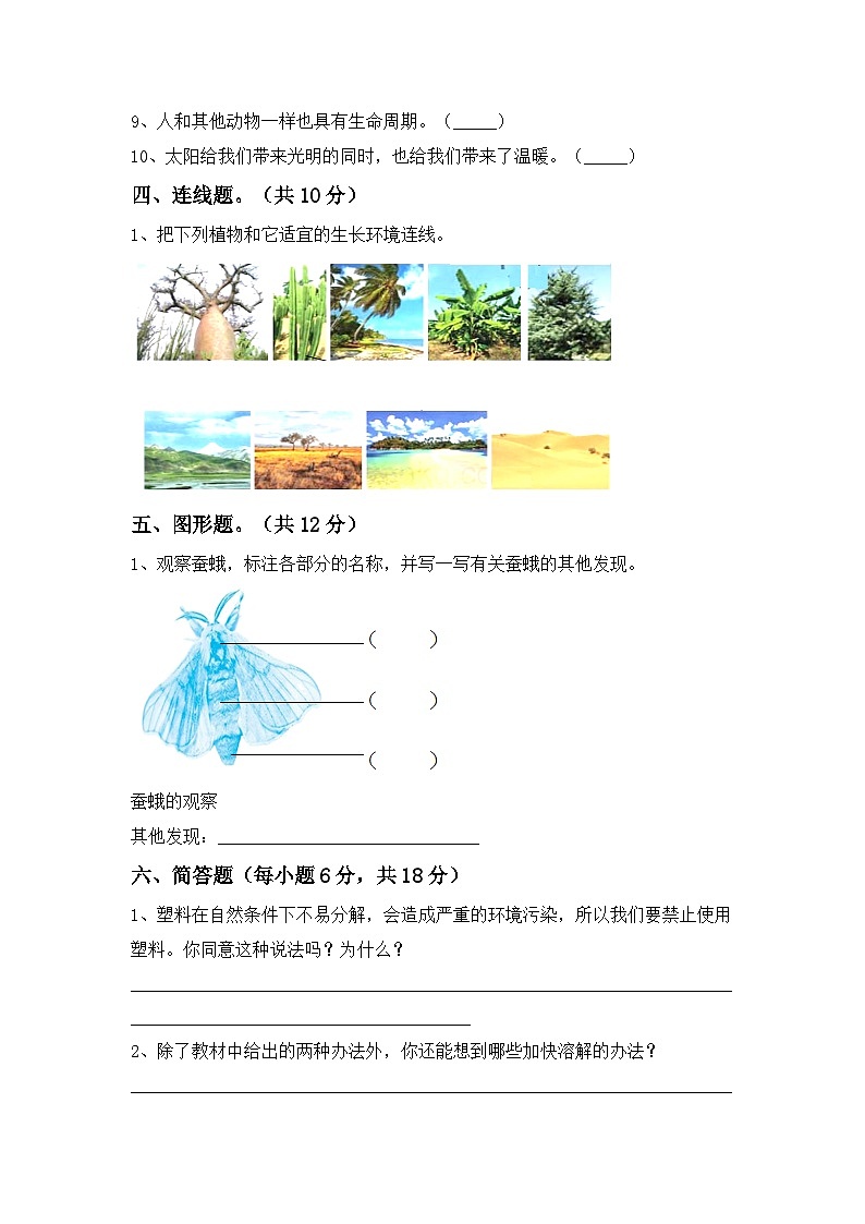 期中测试卷（试卷）-2024-2025学年三年级上册科学期 教科版第3页