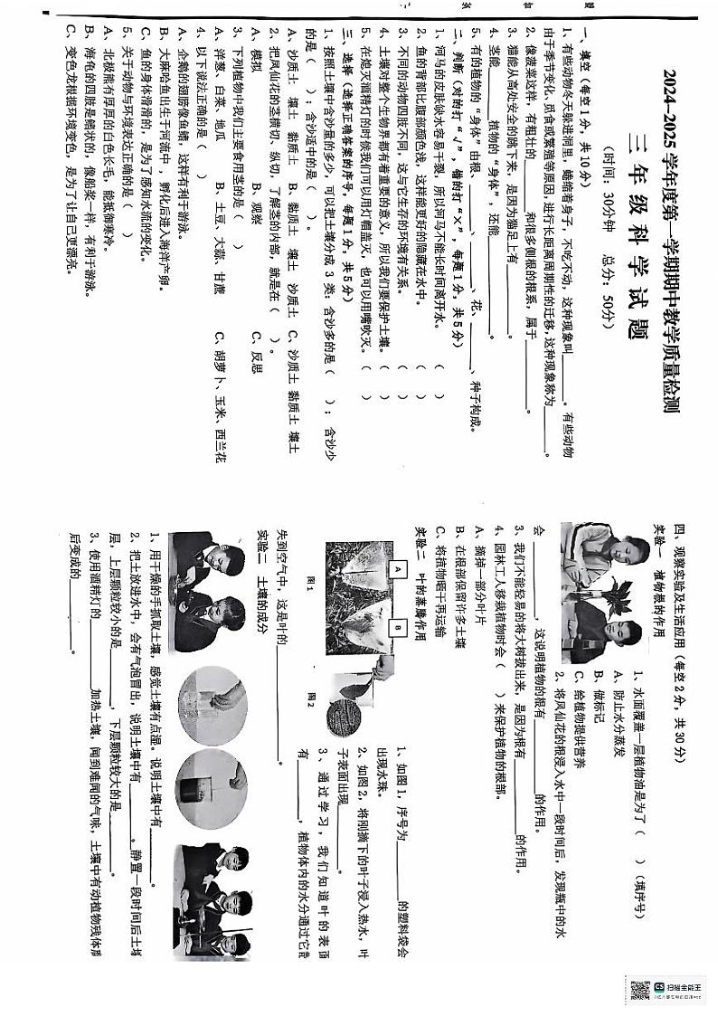 山东省济宁邹城市2024-2025学年三年级上学期期中考试科学试题第1页