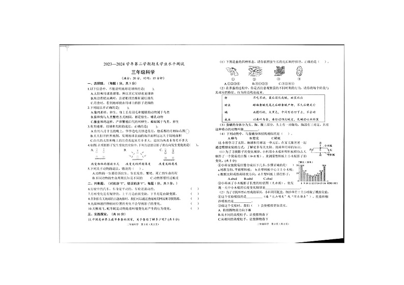 山东省菏泽市定陶区2023-2024学年三年级下学期期末科学试卷第1页