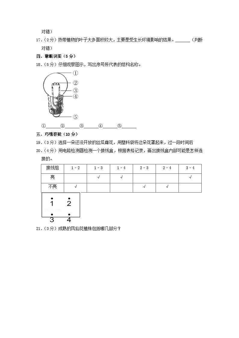 2020-2021学年陕西省延安市富县四年级下学期期中科学真题及答案第2页