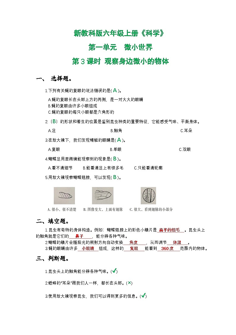 新教科版六年级上册《科学》第一单元微小世界第三课时观察身边微小的物体课时作业练习【附参考答案】01