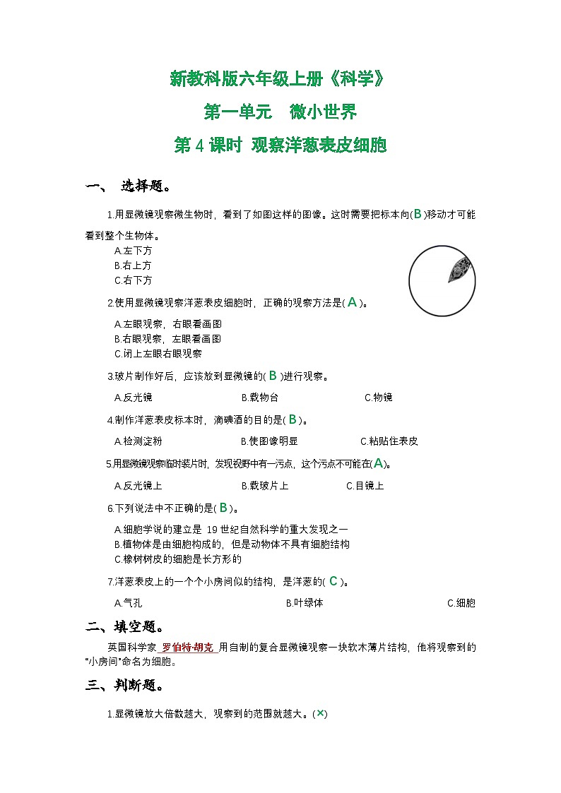 新教科版六年级上册《科学》第一单元微小世界第四课时 观察洋葱表皮细胞课时作业练习【附参考答案】01