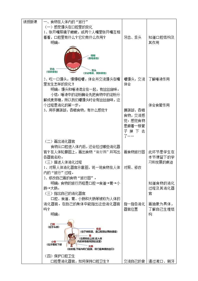 人教鄂教版科学【核心素养目标】1.3《食物的消化》教案第2页