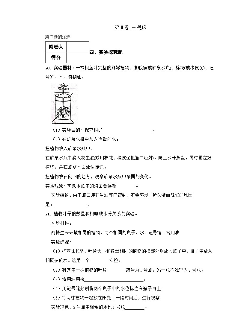 青岛版·六三制小学科学三年级上册第二单元测试题（含实验+答案+解析）第3页