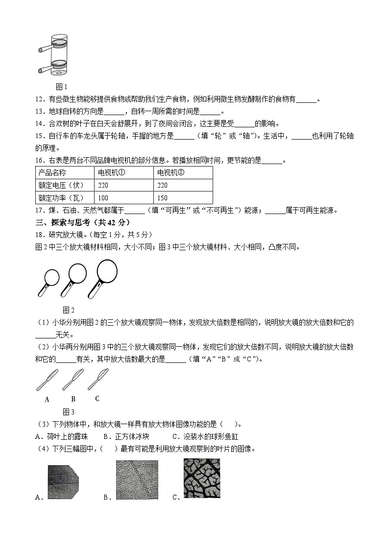 2023-2024学年浙江省丽水市莲都区教科版六年级上册期末考试科学试卷第2页