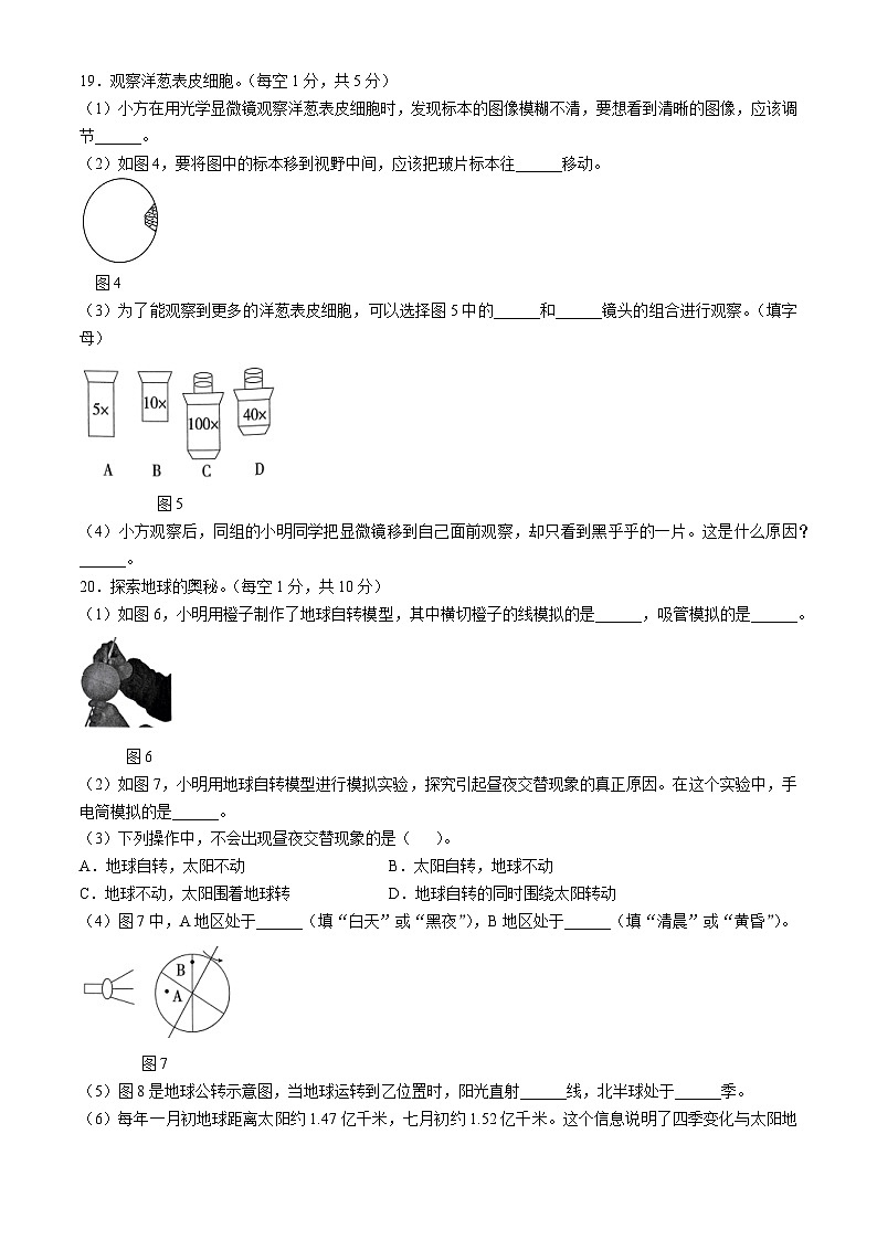 2023-2024学年浙江省丽水市莲都区教科版六年级上册期末考试科学试卷第3页
