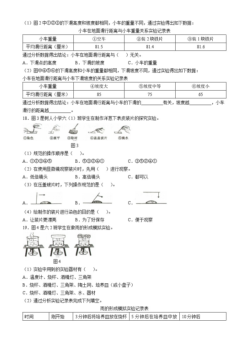 2023-2024学年贵州省六盘水市盘州市大象版六年级上册期末考试科学试卷第3页