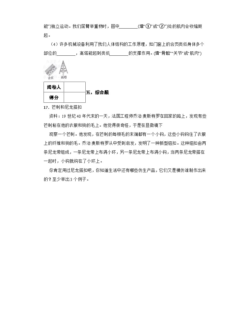 青岛版·六三制小学科学六年级上册第六单元测试题第3页