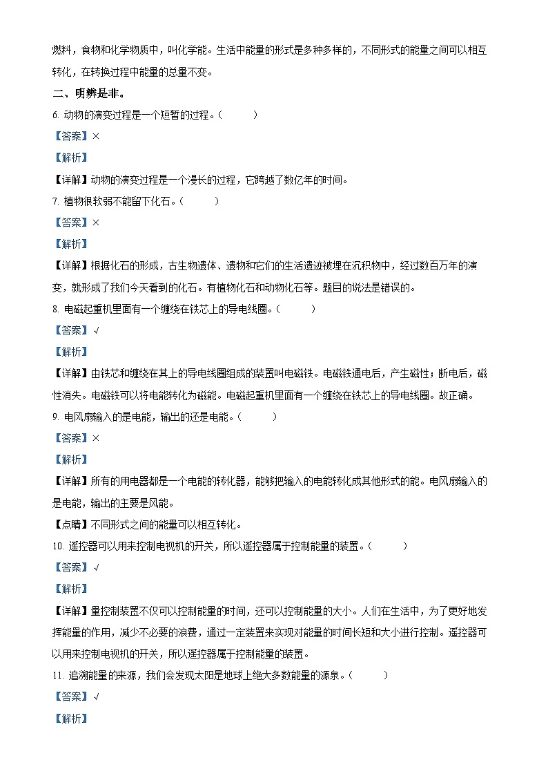 2024-2025学年河北省邢台市威县第什营校区冀人版六年级上册期中考试科学试卷（解析版）-A4第2页