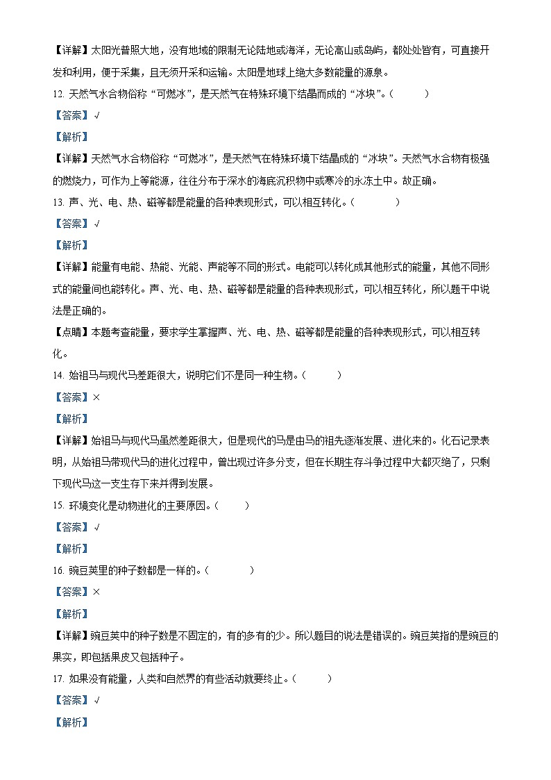 2024-2025学年河北省邢台市威县第什营校区冀人版六年级上册期中考试科学试卷（解析版）-A4第3页