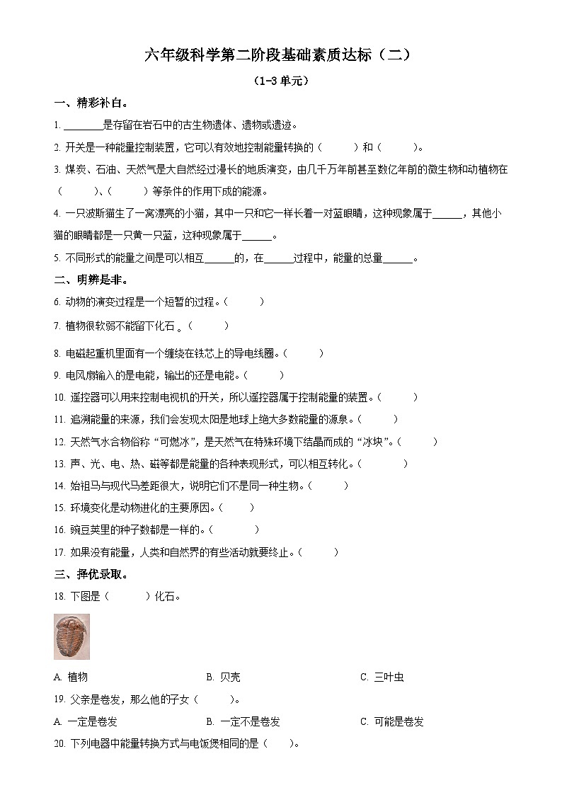 2024-2025学年河北省邢台市威县第什营校区冀人版六年级上册期中考试科学试卷（原卷版）-A4第1页