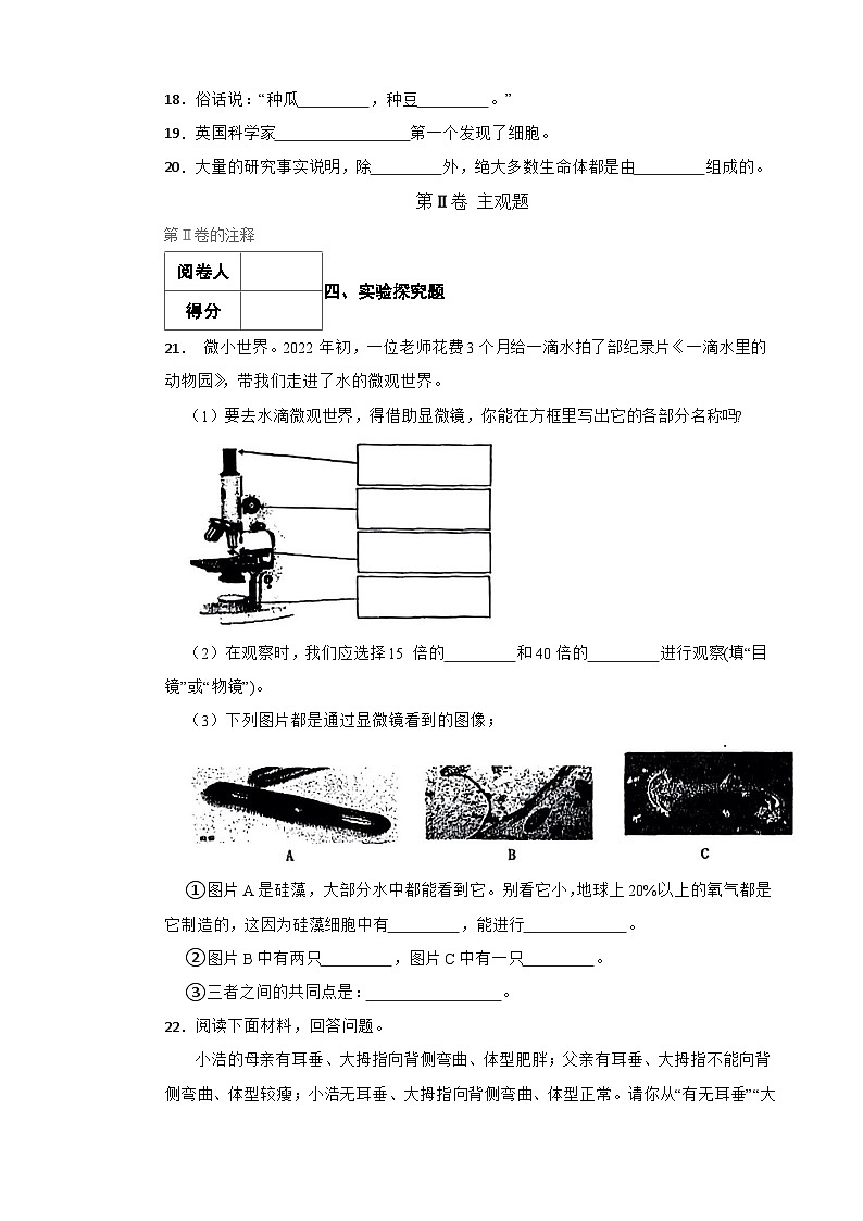 青岛版·六三制小学科学六年级上册第一单元测试题（含实验+答案+解析）第3页