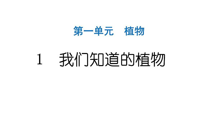 2024教科版科学一年级上册第一单元植物1我们知道的植物 作业课件ppt第1页