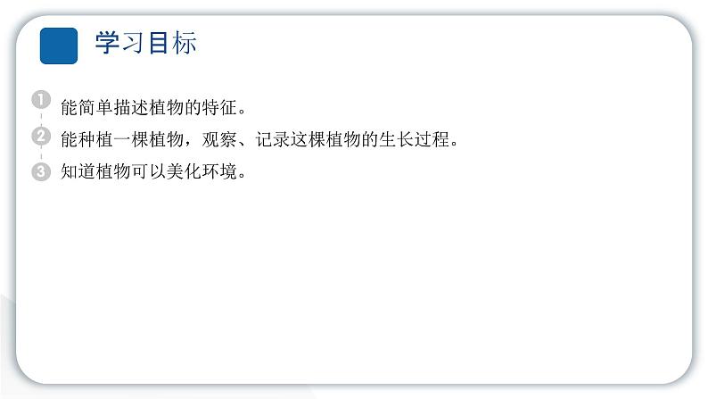 2024教科版科学一年级上册第一单元植物1我们知道的植物 作业课件ppt第2页