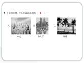 2024教科版科學(xué)一年級上冊第一單元植物1我們知道的植物 作業(yè)課件ppt