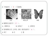 2024教科版科學(xué)一年級上冊第一單元植物1我們知道的植物 作業(yè)課件ppt