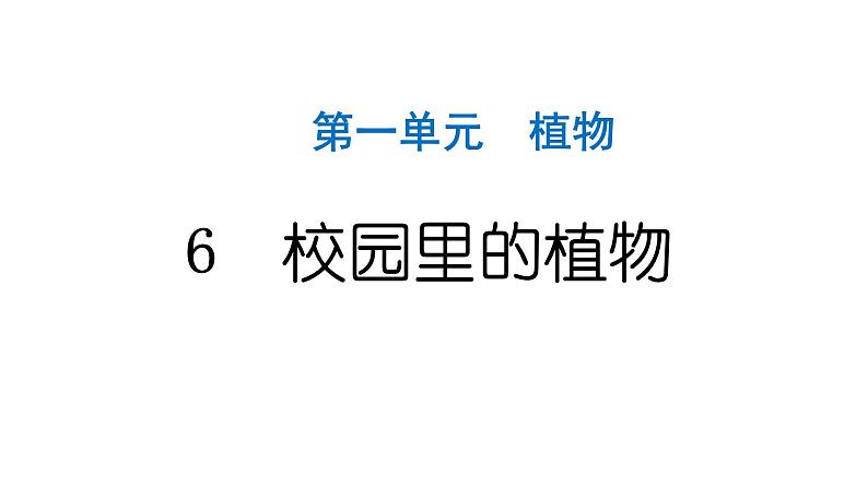 2024教科版科学一年级上册第一单元植物6校园里的植物 作业课件ppt第1页