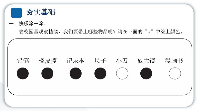 2024教科版科学一年级上册第一单元植物6校园里的植物 作业课件ppt第3页