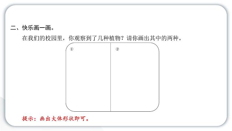 2024教科版科学一年级上册第一单元植物6校园里的植物 作业课件ppt第4页