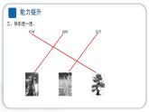 2024教科版科學(xué)一年級(jí)上冊(cè)第一單元植物6校園里的植物 作業(yè)課件ppt