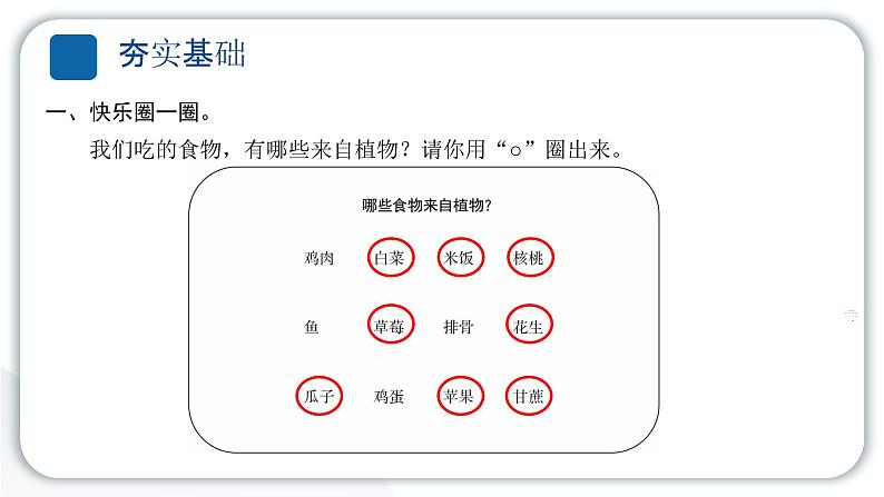 2024教科版科学一年级上册第一单元植物科学阅读 作业课件ppt第3页