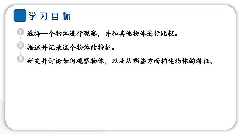 2024教科版科学一年级下册第一单元我们周围的物体1 发现物体的特征 作业课件ppt第2页