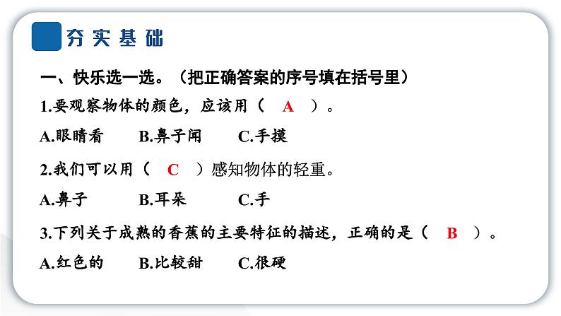 2024教科版科学一年级下册第一单元我们周围的物体1 发现物体的特征 作业课件ppt第3页