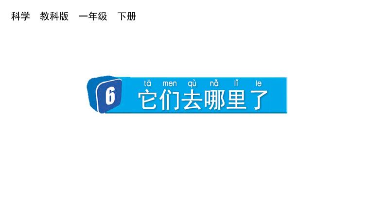 2024教科版科学一年级下册第一单元我们周围的物体6 它们去哪里了教学课件第1页